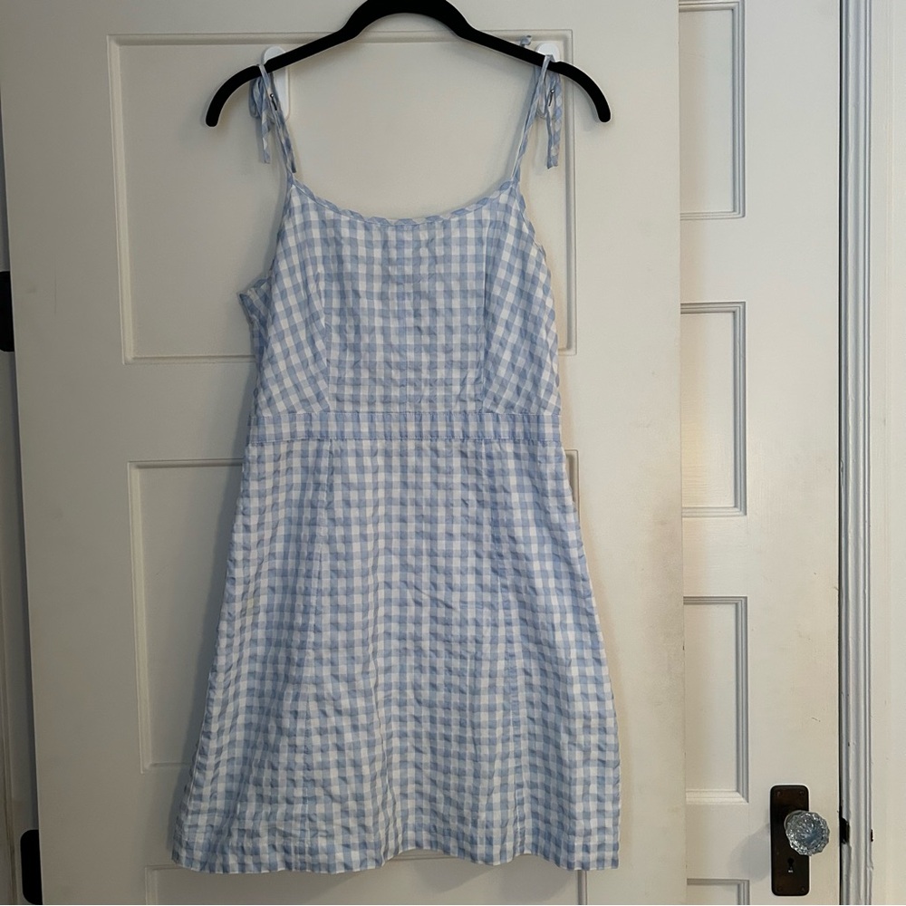Madewell Blue and White Gingham Dress